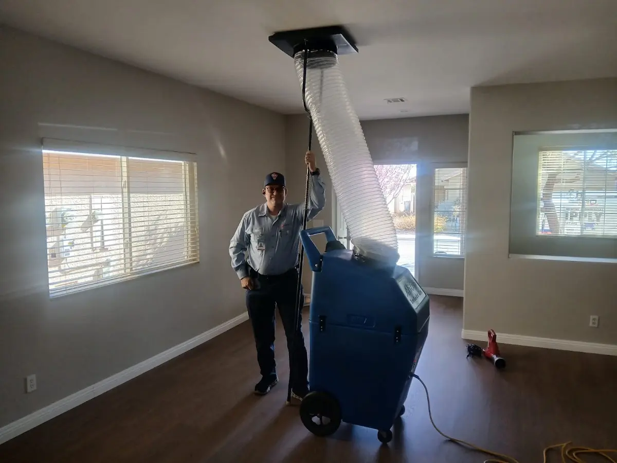Professional Dryer Vent Cleaning work inside a Travilah home